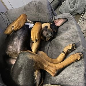 Meet your Posher, Megan